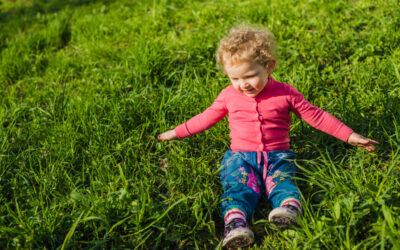 Our new website is now live