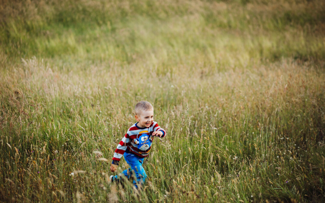 Exciting Updates on Our Exeter Home Renovation